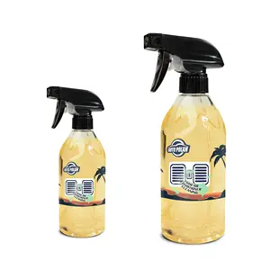 Autopolan Car Air Conditioner Cleaning Agent Professional Air Conditioner System Spray Remove Dust Car Care Detailing China