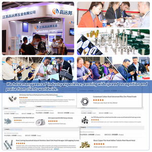 Écrous à six pans creux fendus en acier inoxydable 316 304 M4 M5 M6 M8 M10 M12 M14 M16 M20 DIN935 - Product Image 6