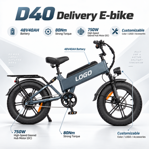 Vélo électrique tout-terrain D40 750W 48V40AH avec écran couleur, affichage de la vitesse en temps réel, assistance au pédalage (PAS), vente en gros, personnalisable - Product Image 1