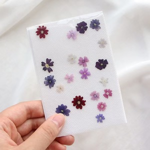 <span class=keywords><strong>Fleur</strong></span> de <span class=keywords><strong>verveine</strong></span> séchée MNR1992 pour la fabrication de bijoux en résine époxy, les créations artisanales pour enfants, les signets, les spécimens végétaux - Product Image 2