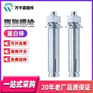 Wanqian Fasteners Expansion Bolts M10x100 M12x100 Metric 4.8 Grade Blue White Zinc Plated Concrete Anchors - Product Image 3