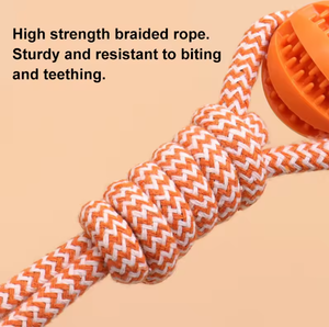 Küçük hayvanlar için lüks çevre dostu naylon pamuk halat çiğnemek oyuncak dayanıklı TPR kauçuk topu diş dayanıklı sızdıran sevimli - Product Image 5