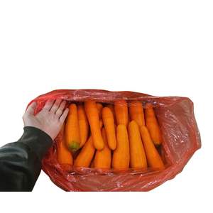 Carottes fraîches biologiques du Vietnam de haute qualité avec saveur naturelle sucrée pour les jus, les soupes, les collations et la distribution mondiale - Product Image 3