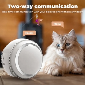 Grosir Pet Mate interaktif Robot kucing mainan Lucu indah karet silikon kamera HD dengan bola otomatis untuk anjing Self-Charging - Product Image 6