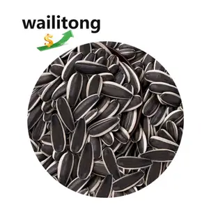 2024 Best Selling New Harvest 100% Natural Raw Sunflower Seeds 361 363 Snack Ingredient Sunflower Seeds With Fast Delivery