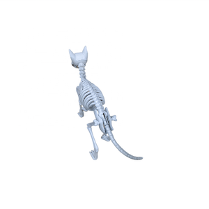Halloween <b>Plastic</b> Activity Skeleton Cat <b>Animal</b> Skeleton Halloween Horror Decor - Product Image 4