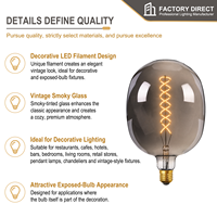 Ampoule LED Fumée de Luxe Antique DG170 7W E26 400LM 2200K, Lampe à Filament Décorative Vintage pour Villa et Hôtel, Éclairage Bronze CE UL