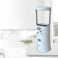 Léger bas prix ventes Portable USB Rechargeable électrique Nano brouillard vaporisateur beauté visage vapeur hydratant vapeur