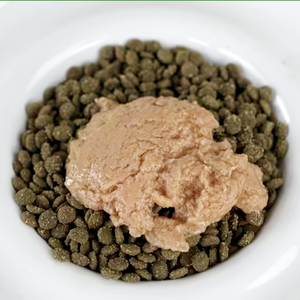 85 גר 'מדע דיאטה סין לקנות חתול טונה רוטב רטוב בתפזורת פירות ים חיות מחמד שמנת לטפל בכלב בשר טחון מחמד - Product Image 4