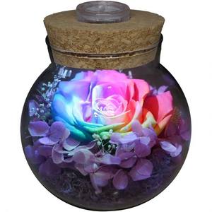 Bouteille à vœux Rose Éternelle avec couvercle en verre créatif, veilleuse décorative, cadeau d'anniversaire Tanabata, dégradé multicolore - Product Image 2