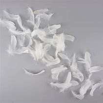 Plumes <span class=keywords><strong>de</strong></span> duvet d'<span class=keywords><strong>oie</strong></span> super douces <span class=keywords><strong>de</strong></span> qualité supérieure, blanchies, pour literie et textiles - Product Image 2