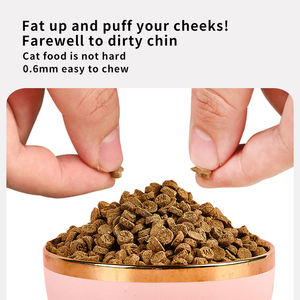 מזון בסיס יבש אפוי בטמפרטורה נמוכה לחתולים ולכלבים עם תכולת חלבון גבוהה - Product Image 4