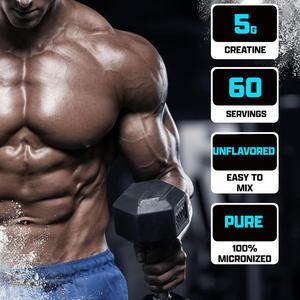 Creatina Monohidrato Micronizada de Alta Absorción en Polvo, Suplemento para Apoyo Energético en Entrenamiento Físico - Product Image 4