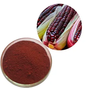 Polvo de semilla de maíz púrpura orgánico Natural, especial, superventas