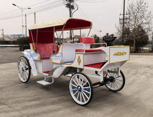 Carrosse de Victoria électrique pour le tourisme et les mariages, transport spécial, prix usine, à vendre - Product Image 3