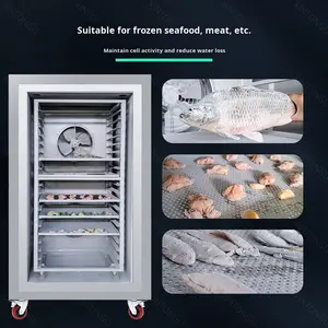 Kommerzielle Platte Flüssig stickstoff Blast Freezer Weiba 1 Jahr Garantie für Meeres früchte & Spinat Purslane Hohe Produktivität 20 Tabletts - Product Image 4