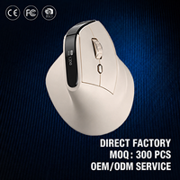 Souris sans fil optique 3D OEM pour droitier, silencieuse, réglable, double mode, économe en énergie, rechargeable USB, confortable, DPI 1600, RGB