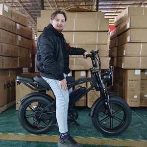 Vélo électrique de plage et de neige, pneus larges de 20 pouces tout-terrain, nouveau vélo à assistance électrique rétro 520 Lithium-ion - Product Image 5