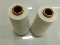Ne 50s High Strength 70% Cotton 30% Linen Compact Yarn for Knitting for T-shirt