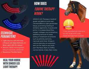 Лошадь Терапия Красный Свет Лошади Солярий Красный Свет Терапия Для Лошадей <span class=keywords><strong>led</strong></span> Красный Свет Терапия Лошади - Product Image 6