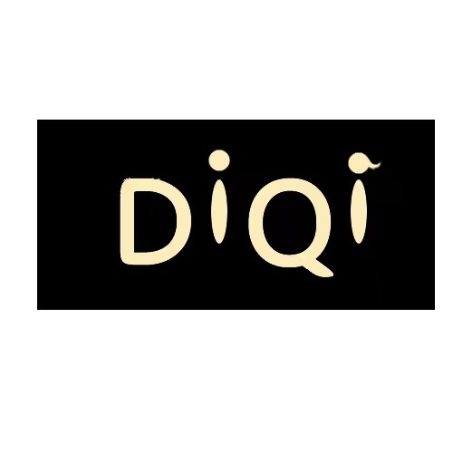 Zhongshan Diqi New Material Co., Ltd.