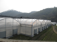Kit de serre tunnel portable commerciale, serre complète, serres agricoles