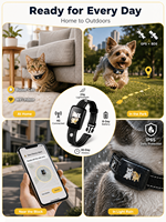 Traceur GPS 4G pour animaux de compagnie, batterie 8 jours, étanche IP65, historique d'itinéraire 30 jours, Type C pour chats et petits chiens