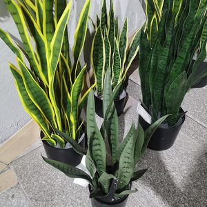 <span class=keywords><strong>Vendita</strong></span> calda all'aperto pianta di serpente <span class=keywords><strong>Bonsai</strong></span> verde fogliame artificiale <span class=keywords><strong>Bonsai</strong></span> per la decorazione domestica materiale plastico durevole - Product Image 5