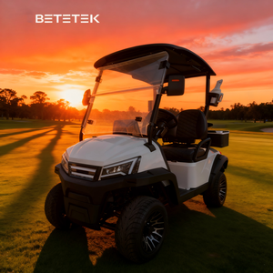 Carrito de Golf Eléctrico de Lujo, Buggy de Golf, Se Acepta Personalización, Certificado por DOT, CE, GCC y EEC para Carreteras No Públicas - Product Image 1