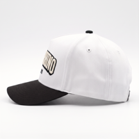 Casquette de baseball structurée à 5 panneaux, bicolore, de qualité supérieure, avec logo brodé en relief 3D personnalisé, OEM ODM