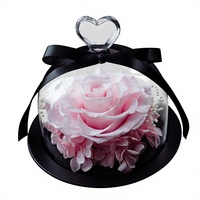 Rose éternelle rose sous cloche en verre avec boîte cadeau LED