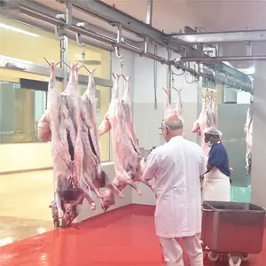Helal kesimhane hattı kuzu Abattoir koyun et işleme kesme kasap ekipmanları