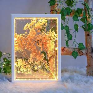 Marco <span class=keywords><strong>de</strong></span> Exhibición con Iluminación LED USB Personalizado, Caja <span class=keywords><strong>de</strong></span> Exhibición Profunda con Luz LED USB para Recuerdos, Obras <span class=keywords><strong>de</strong></span> Arte en 3D, Coleccionables, Regalo Promocional - Product Image 2