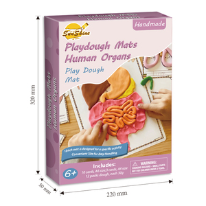 2026 Alfombrillas de Plastilina Súper Suaves y No Tóxicas con Temática de Órganos Humanos para Manualidades, Juguete para Niñas y Niños - Product Image 2