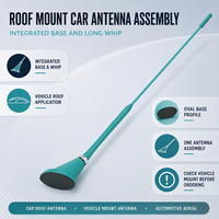 Antenne de toit universelle longue et fine pour voiture, avec base intégrée, couleur personnalisée, OEM pour auto, SUV, camion