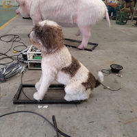 SGAI80 Outdoor Spielplatz Park Animatronisches Hunde-Modell Realistisches Roboter-Tierhunde-Modell zum Verkauf