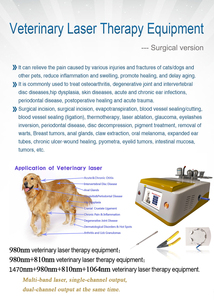 Pet Clinic Veterinary Laser Animals Small Weight Surgery Therapy Vet Laser <strong>Orthopaedic</strong> <strong>Instruments</strong> - Product Image 3