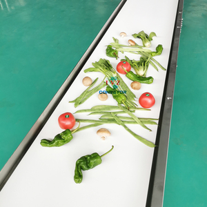 Food Grade <strong>Belt</strong> <strong>Conveyor</strong> Mushroom <strong>Conveyor</strong> Vegetables <strong>Conveyor</strong> - Product Image 2