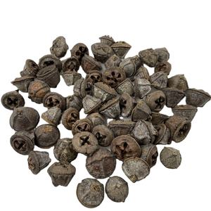 Decorações secas bolotas naturais - Product Image 5