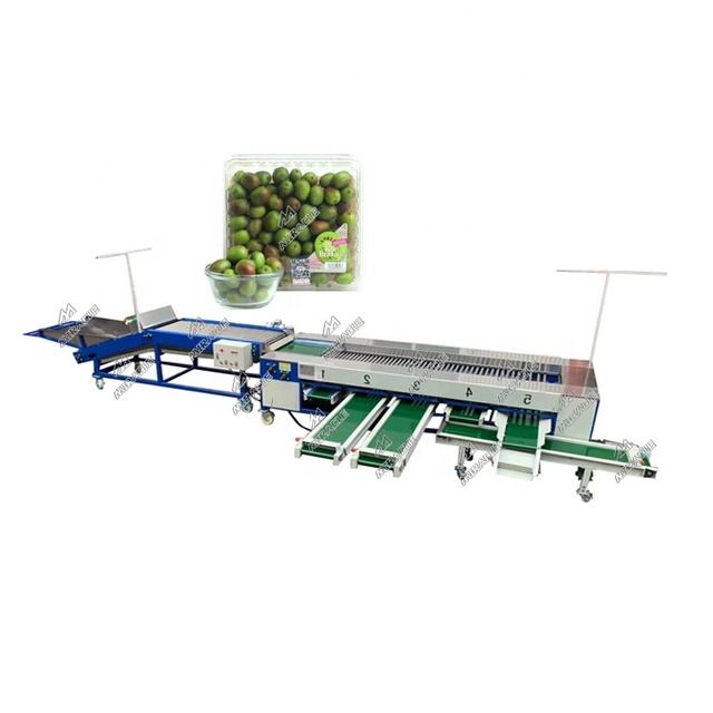 Good quality 5 grades kiwi berry size grade sorting machine made in China