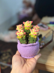 Jouet en peluche fait à la main Amigurumi tricoté au crochet poupée PP rempli OEM vente en gros bon marché du Viet Nam pour bébé enfant en bas âge - Product Image 6