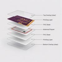 Cartes vierges avec puce NFC 13,56 MHz Mifare Classic, carte PVC blanche, codage, systèmes de contrôle d'accès, vente en gros OEM