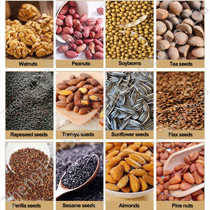 Machine d'extraction semi-automatique à haute performance pour huiles d'amande, de soja, d'arachide, de tournesol et d'olive, 125-400 kg/h, à pressage à chaud, écologique, nouvelle - Product Image 6