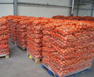 Onion <strong>PE</strong> <strong>Net</strong> <strong>Bags</strong> Customizable Mesh <strong>Bag</strong> for Fruits and Vegetables Manufactured for Durability - Product Image 1
