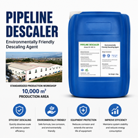 Bubuk Agen Penghilang Kerak Asam Konsentrasi Tinggi (pH 2.0 90% Kandungan Padatan) untuk Boiler Industri dan Sistem Reverse Osmosis