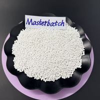 Masterbatch plastique blanc de haute qualité PE PP PET ABS PC pour injection, film soufflé et extrusion