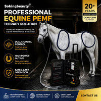 Appareil PEMF équin, thérapie par champ électromagnétique pulsé pour chevaux, pour la récupération musculaire et le soulagement de la douleur