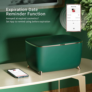 Новинка, холодильник для макияжа, 6 л, 9 л, DC12V, небольшой холодильник для ухода за кожей, косметический холодильник, мини-холодильник - Product Image 4