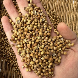 Graines de <span class=keywords><strong>coriandre</strong></span> entières naturelles de qualité supérieure, granulés séchés AD, graines de <span class=keywords><strong>coriandre</strong></span> 25 kg, épices pour la fabrication alimentaire - Product Image 4