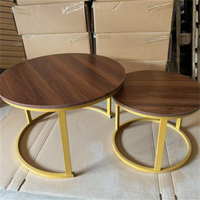 Table basse de salon moderne en métal de luxe pour hôtel, table à thé d'angle, meubles de salon, tables basses incurvées, durables et légères